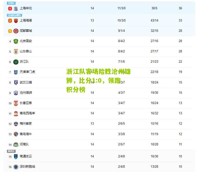 浙江队客场险胜沧州雄狮，比分1:0，领跑积分榜
